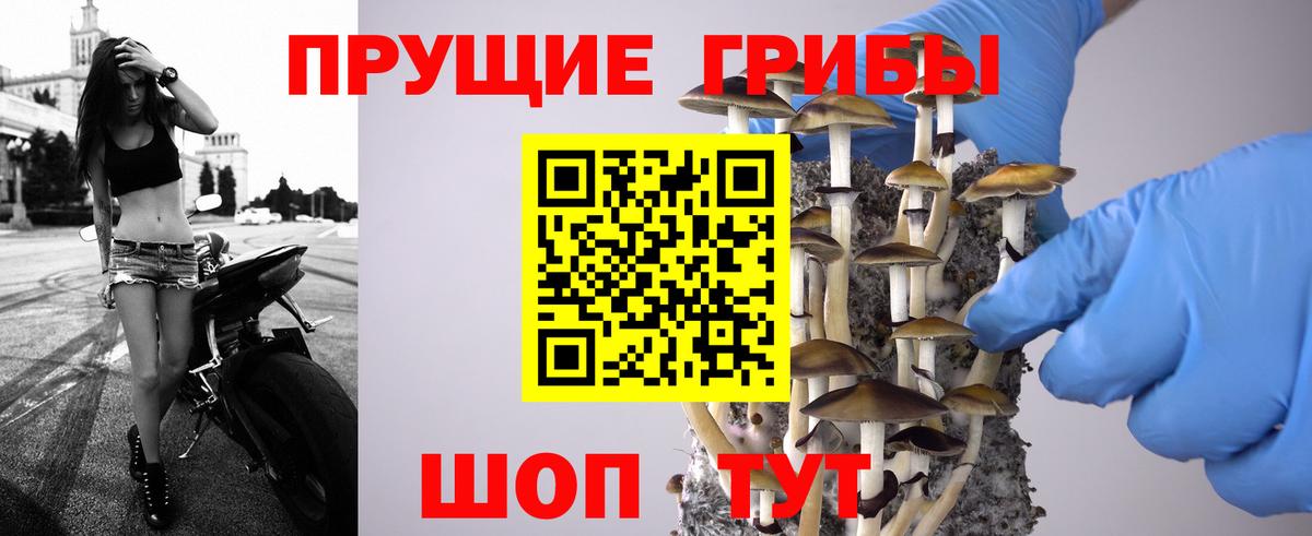 Псилоцибиновые грибы мицелий  Вход с VPN  сколько стоит  Кизляр 